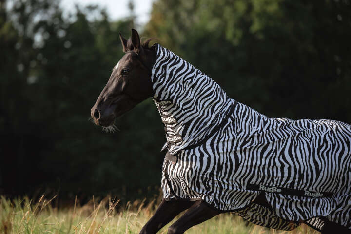 Covalliero Fliegendecke RugBe Zebra mit Halsteil